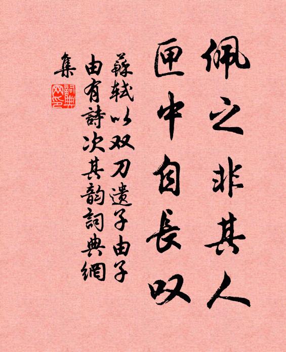 苏轼佩之非其人，匣中自长叹书法作品欣赏