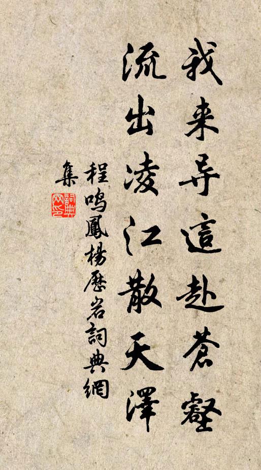 程鸣凤我来导这赴苍壑，流出凌江散天泽书法作品欣赏