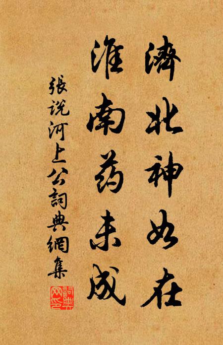 张说济北神如在，淮南药未成书法作品欣赏