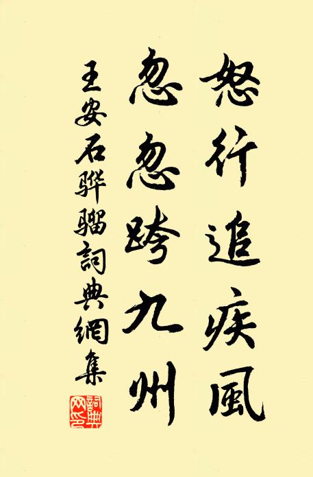 王安石怒行追疾风，忽忽跨九州书法作品欣赏
