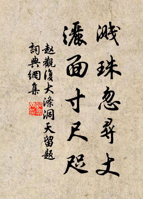 赵观复溅珠忽寻丈，洒面寸尺咫书法作品欣赏