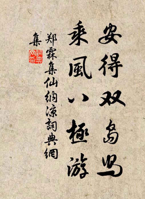 郑霖安得双岛舄，乘风八极游书法作品欣赏