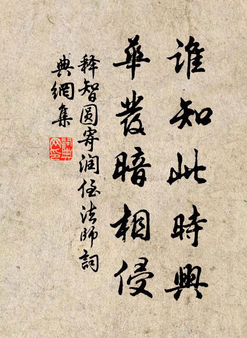 释智圆谁知此时兴，华发暗相侵书法作品欣赏