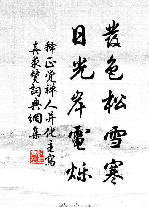释正觉发色松雪寒，日光岸电烁书法作品欣赏