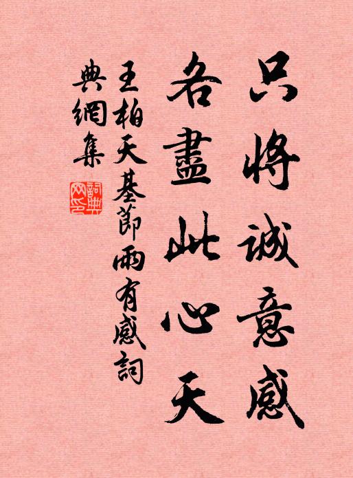 王柏只将诚意感，各尽此心天书法作品欣赏