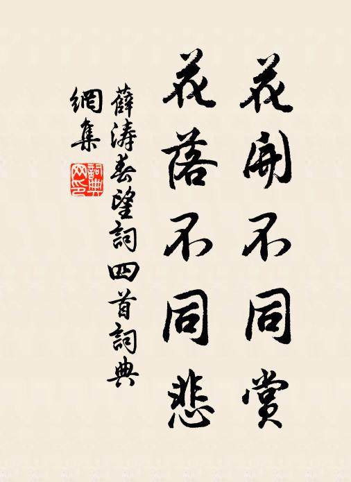 薛涛花开不同赏，花落不同悲书法作品欣赏