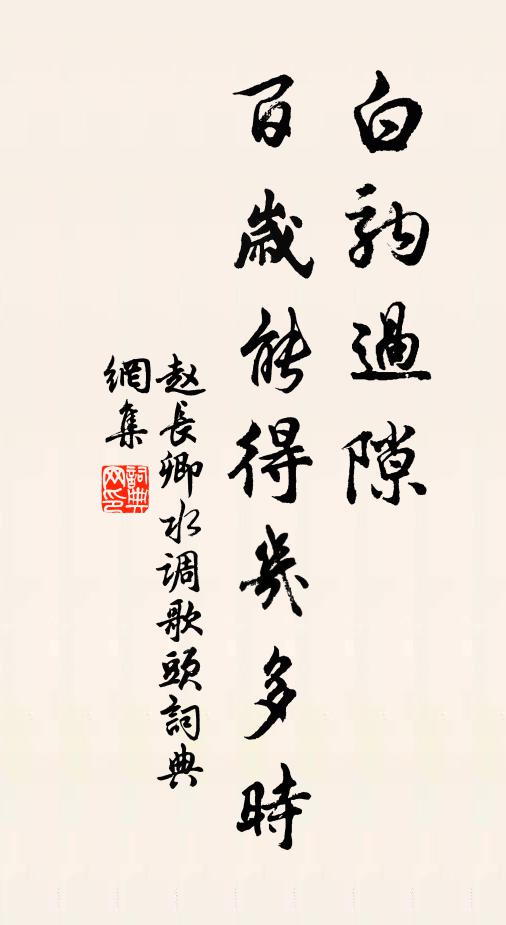 赵长卿白驹过隙，百岁能得几多时书法作品欣赏