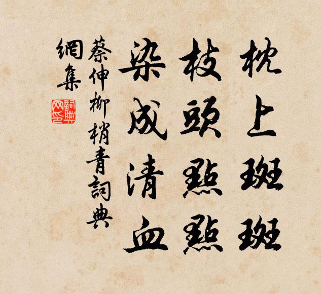 蔡伸枕上斑斑，枝头点点，染成清血书法作品欣赏