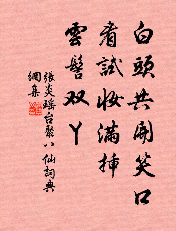 张炎白头共开笑口，看试妆满插，云髻双丫书法作品欣赏
