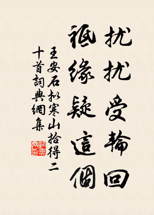 王安石扰扰受轮回，祗缘疑这个书法作品欣赏