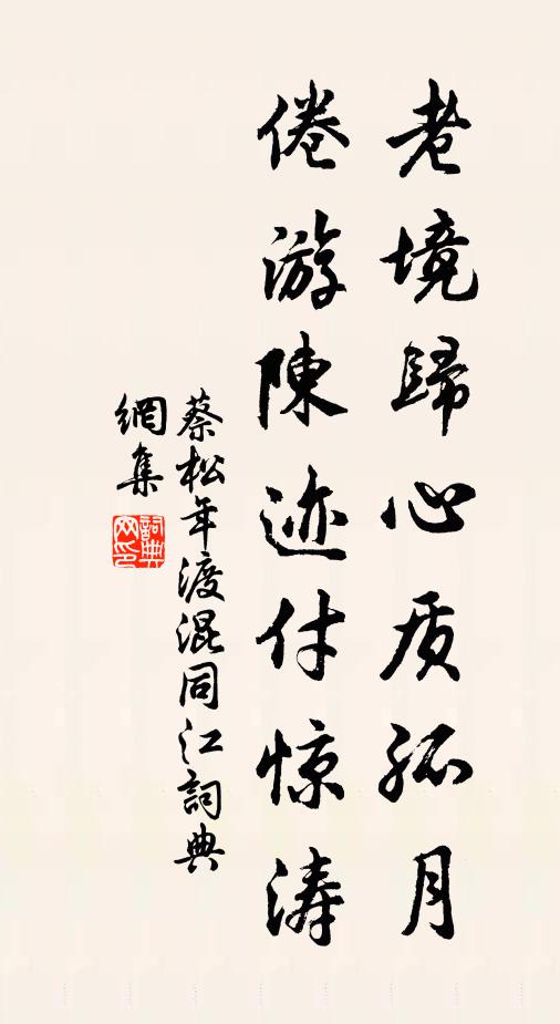 蔡松年老境归心质孤月，倦游陈迹付惊涛书法作品欣赏