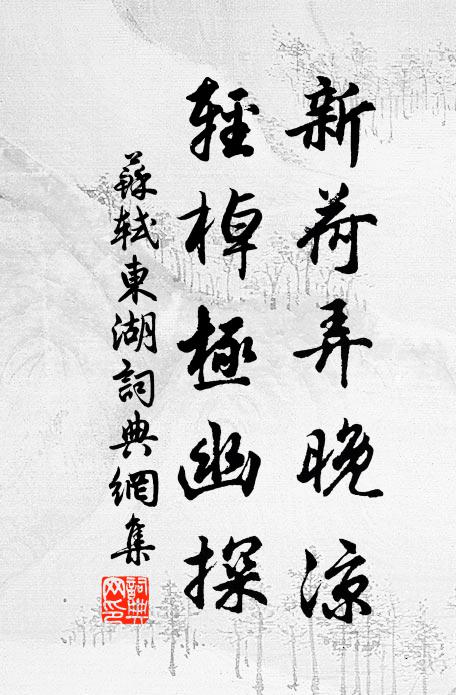 苏轼新荷弄晚凉,轻棹极幽探书法作品欣赏