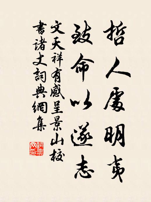 文天祥哲人处明夷，致命以遂志书法作品欣赏