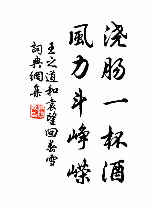 王之道浇肠一杯酒，风力斗峥嵘书法作品欣赏