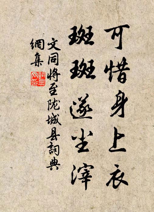 文同可惜身上衣，斑斑遂尘滓书法作品欣赏