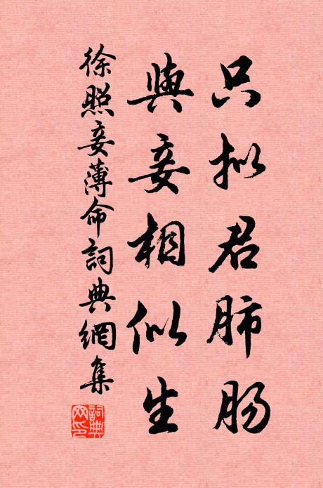 徐照只拟君肺肠，与妾相似生书法作品欣赏