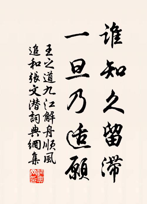 王之道谁知久留滞，一旦乃适愿书法作品欣赏