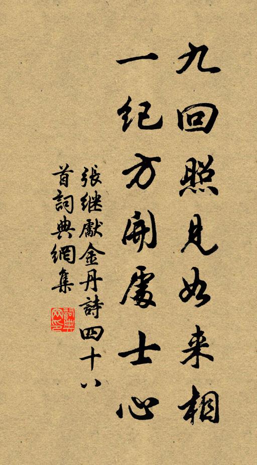 张继先九回照见如来相，一纪方开处士心书法作品欣赏