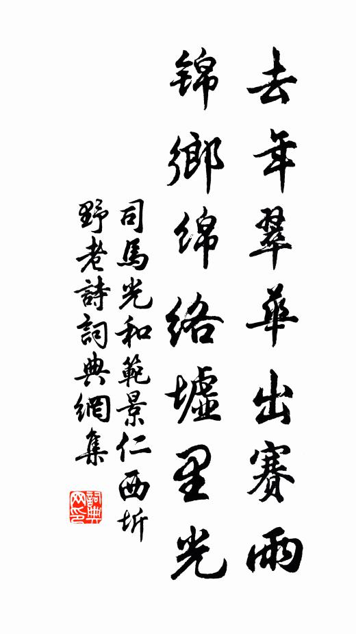 司马光去年翠华出赛雨，锦乡绵络墟里光书法作品欣赏