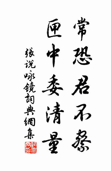张说常恐君不察，匣中委清量书法作品欣赏