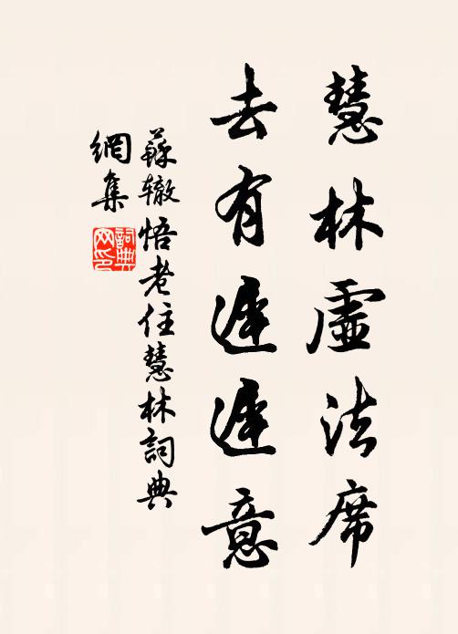 苏辙慧林虚法席，去有迟迟意书法作品欣赏