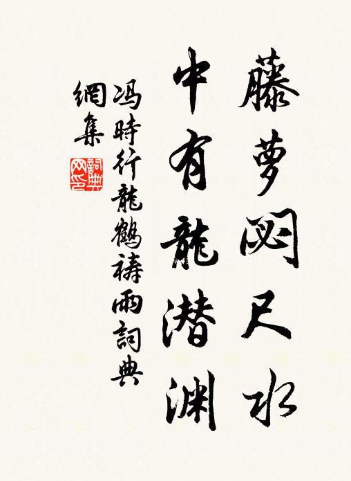 冯时行藤萝閟尺水，中有龙潜渊书法作品欣赏