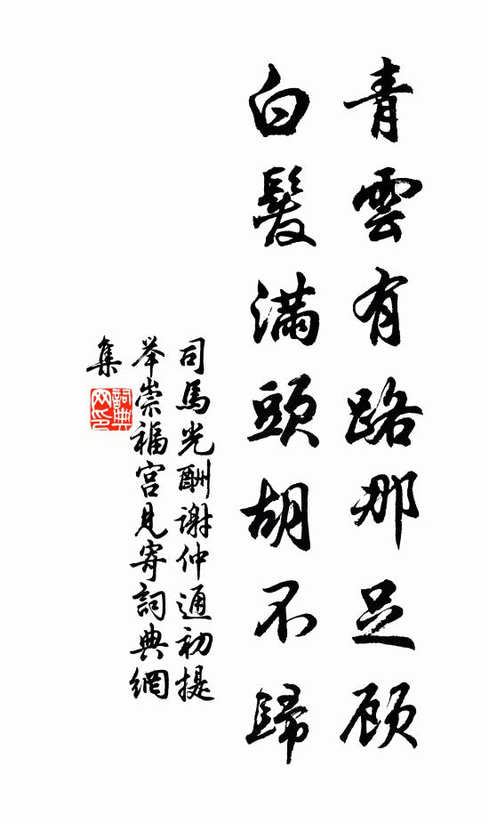 司马光青云有路那足顾，白发满头胡不归书法作品欣赏