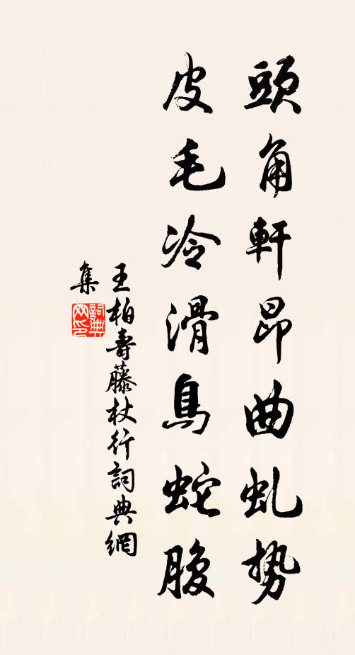 王柏头角轩昂曲虬势，皮毛冷滑鸟蛇腹书法作品欣赏