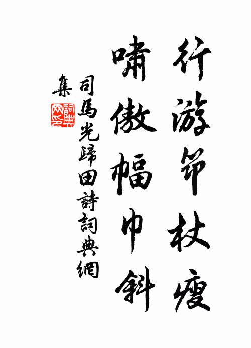 司马光行游筇杖瘦，啸傲幅巾斜书法作品欣赏