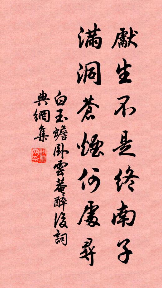 白玉蟾先生不是终南子，满洞苍烟何处寻书法作品欣赏