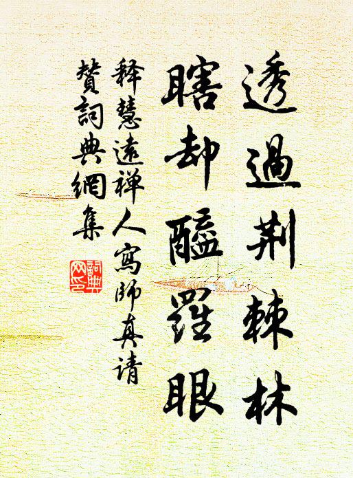 释慧远透过荆棘林，瞎却醯罗眼书法作品欣赏