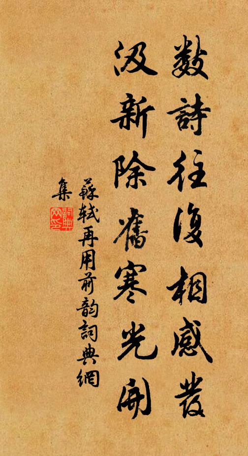 苏轼数诗往复相感发，汲新除旧寒光开书法作品欣赏