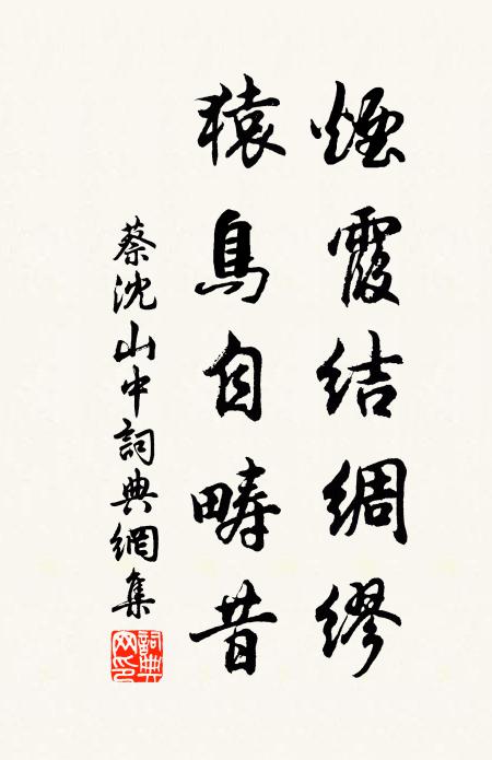 蔡沈烟霞结绸缪，猿鸟自畴昔书法作品欣赏