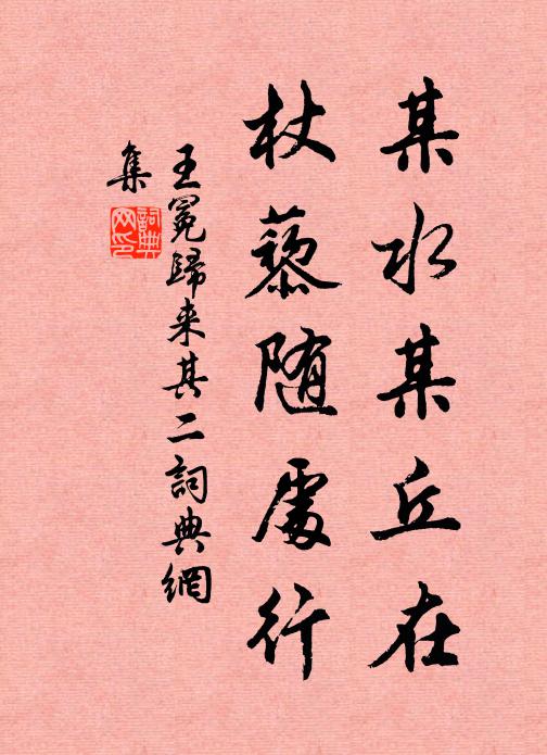 王冕某水某丘在，杖藜随处行书法作品欣赏