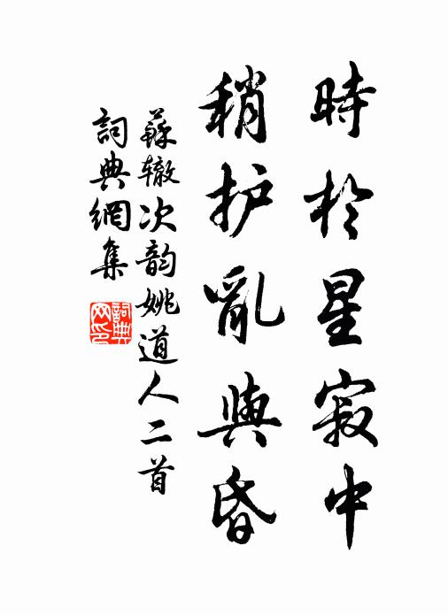 苏辙时於星寂中，稍护乱与昏书法作品欣赏