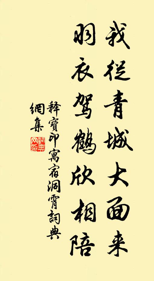 释宝印我从青城大面来，羽衣驾鹤欣相陪书法作品欣赏
