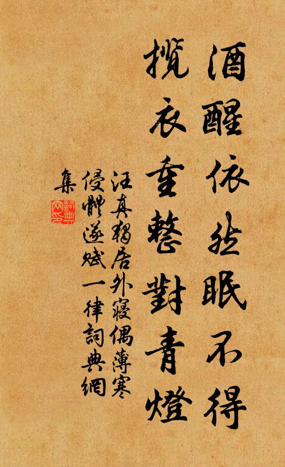 汪真酒醒依然眠不得，揽衣重整对青灯书法作品欣赏