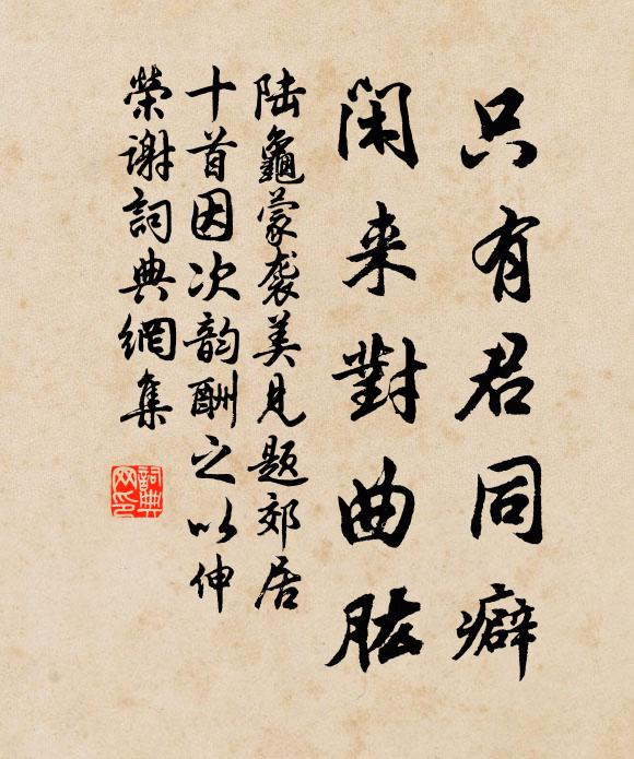 陆龟蒙只有君同癖，闲来对曲肱书法作品欣赏
