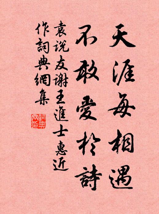 袁说友天涯每相遇，不敢爱于诗书法作品欣赏
