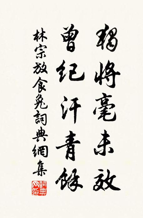 林宗放独将毫未效，曾纪汗青馀书法作品欣赏