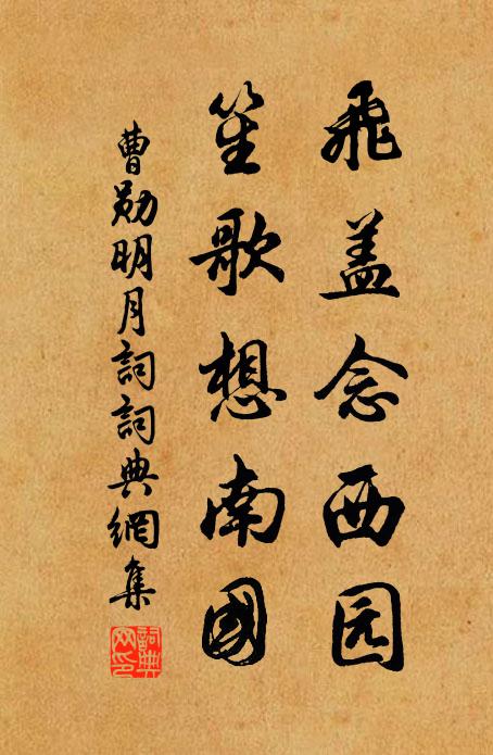 曹勋飞盖念西园，笙歌想南国书法作品欣赏