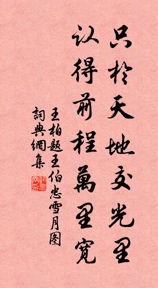 王柏只於天地交光里，认得前程万里宽书法作品欣赏