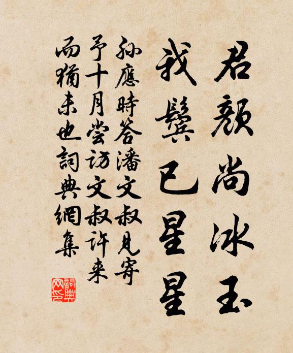 孙应时君颜尚冰玉，我鬓已星星书法作品欣赏