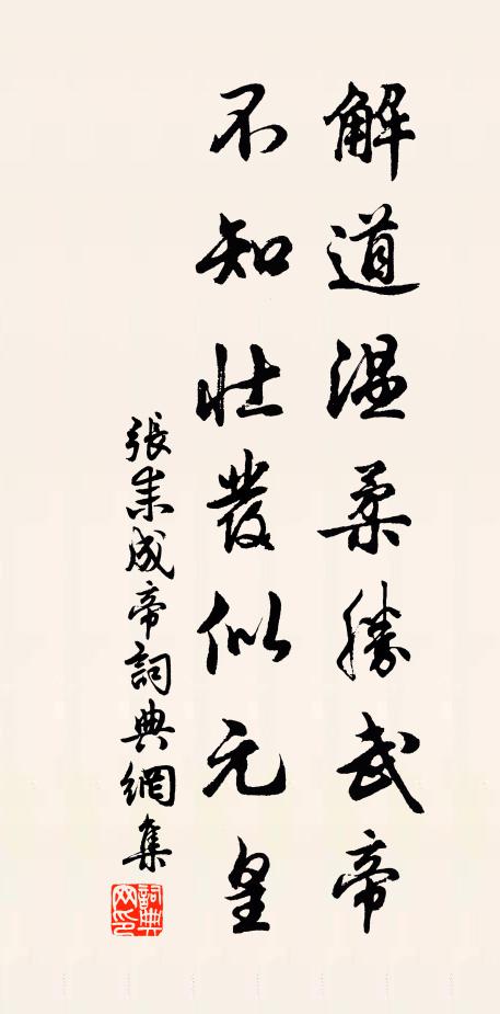 张耒解道温柔胜武帝，不知壮发似元皇书法作品欣赏