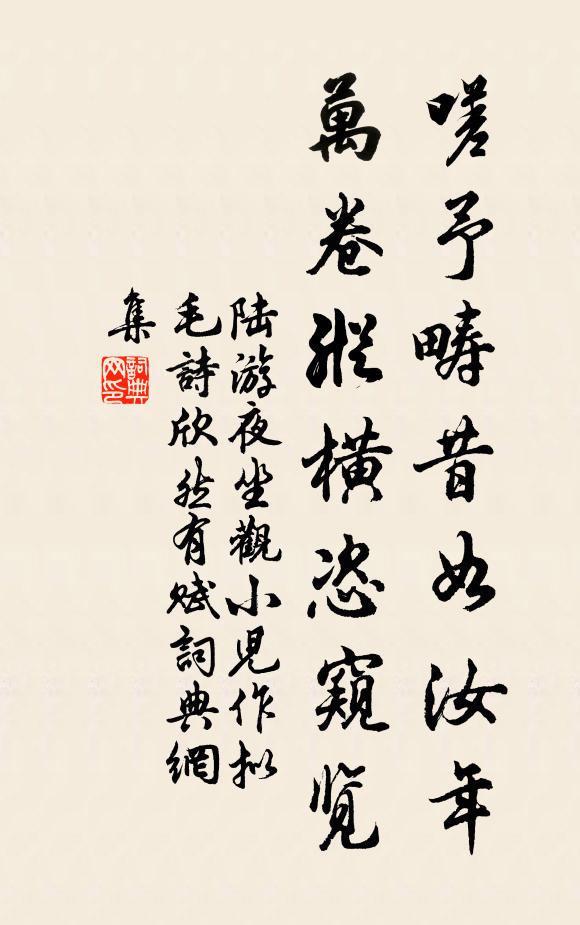 陆游嗟予畴昔如汝年，万卷纵横恣窥览书法作品欣赏