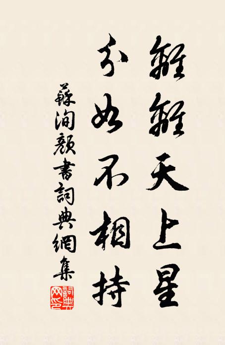 苏洵离离天上星，分如不相持书法作品欣赏
