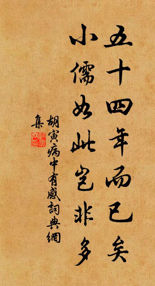 胡寅五十四年而已矣，小儒如此岂非多书法作品欣赏