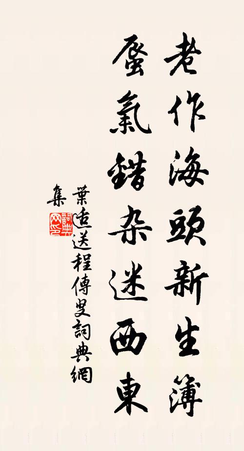 叶适老作海头新生簿，蜃气错杂迷西东书法作品欣赏