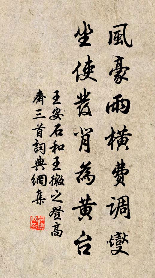王安石风豪雨横费调燮，坐使发背为黄台书法作品欣赏