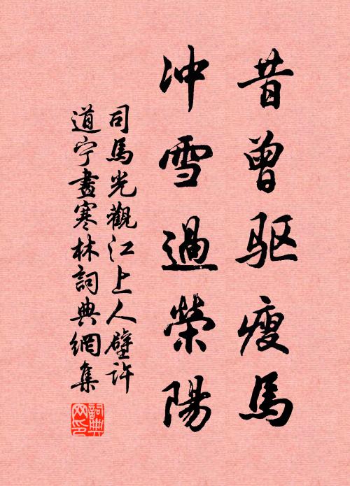 司马光昔曾驱瘦马，冲雪过荣阳书法作品欣赏